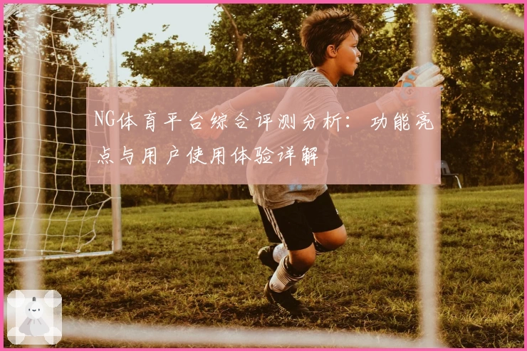 NG体育平台综合评测分析：功能亮点与用户使用体验详解